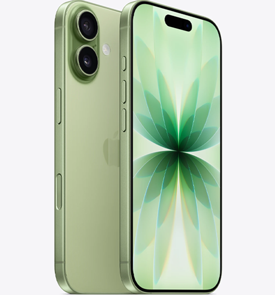Apple iPhone 17_Sage